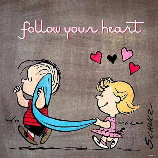Herz folgen