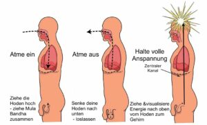 Die Hodenatmung