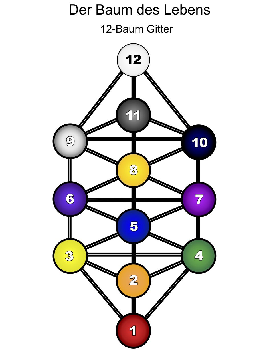 Das 12-Baum-Gitter