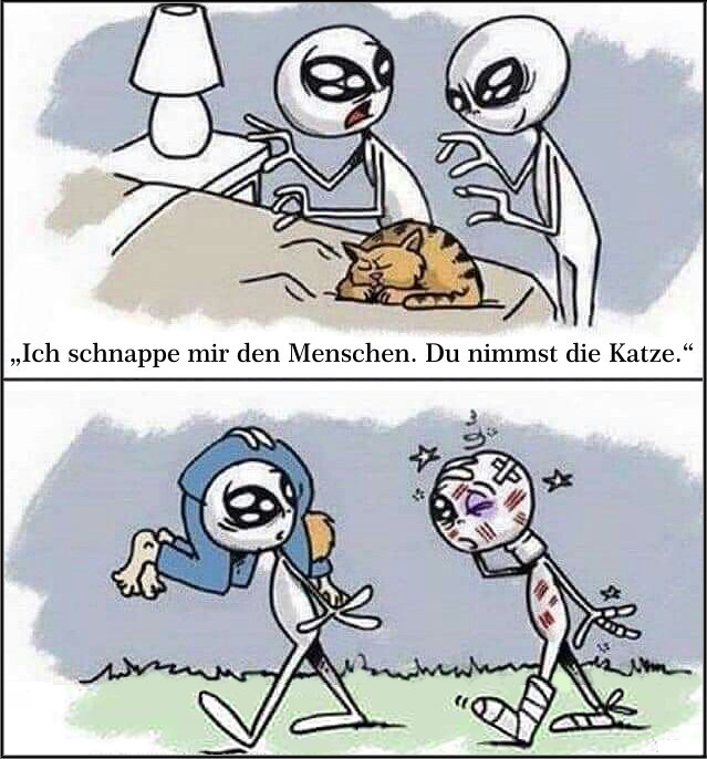 katze und alien